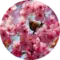 Kim Estes Avatar